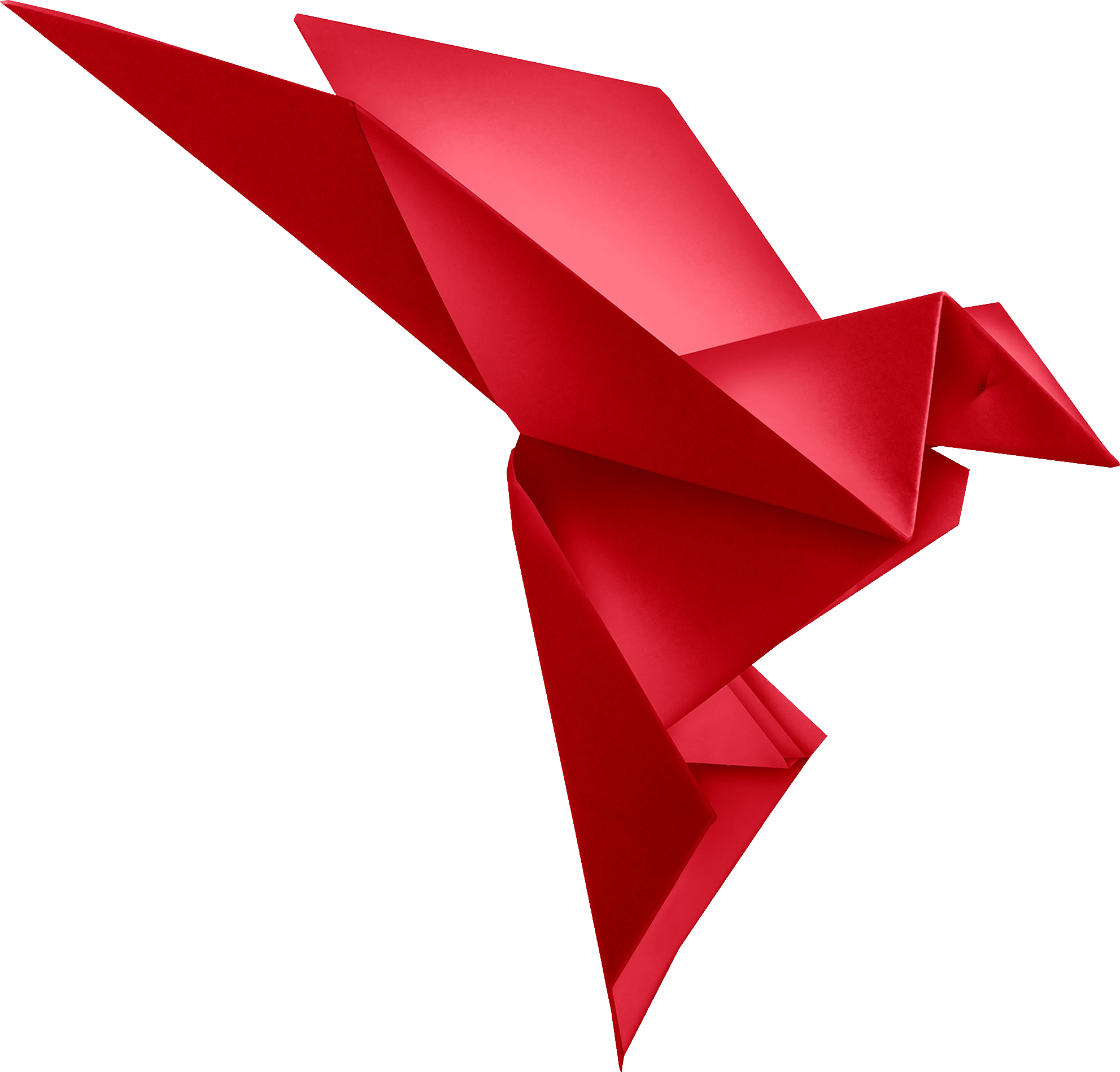 Red Bird